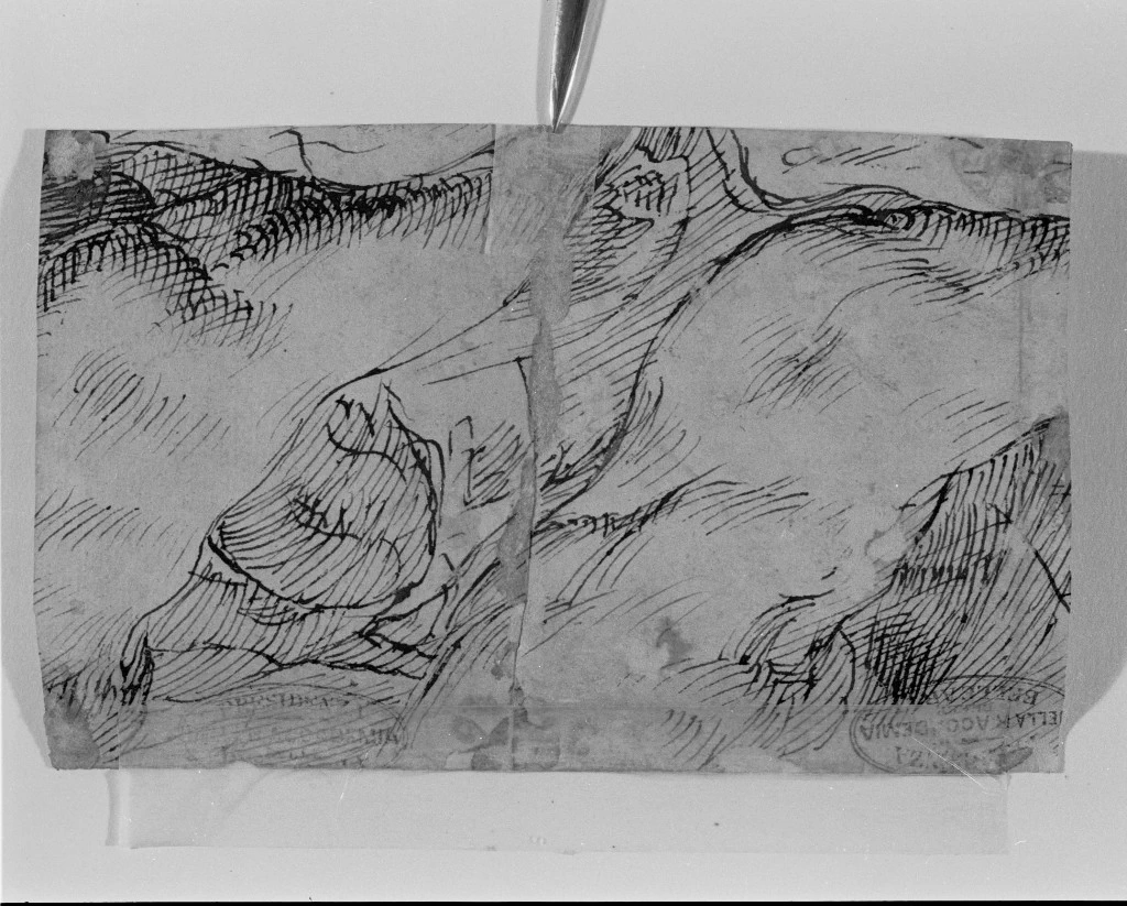  164-studio di parti anatomiche - Gallerie dell'Accademia, Venezia 